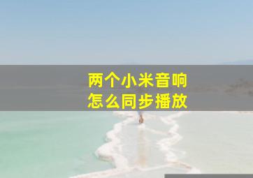 两个小米音响怎么同步播放