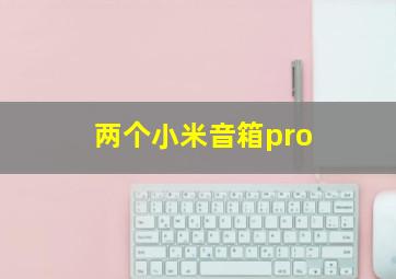 两个小米音箱pro