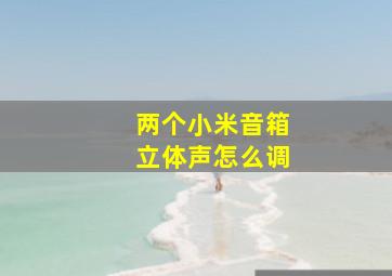 两个小米音箱立体声怎么调