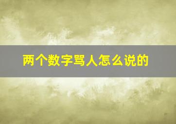 两个数字骂人怎么说的