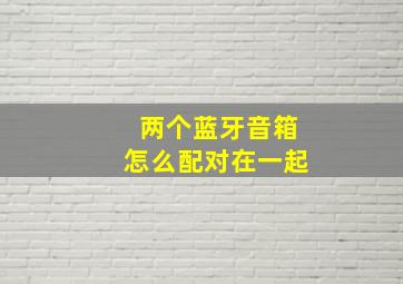 两个蓝牙音箱怎么配对在一起