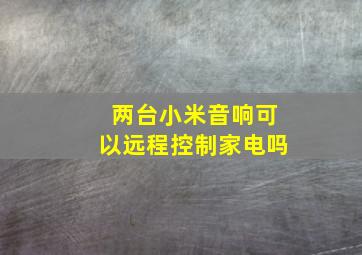 两台小米音响可以远程控制家电吗