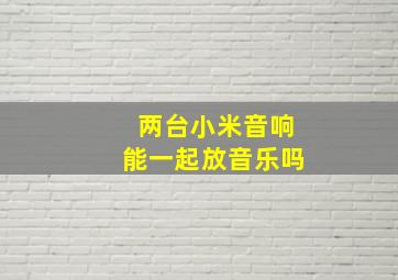 两台小米音响能一起放音乐吗