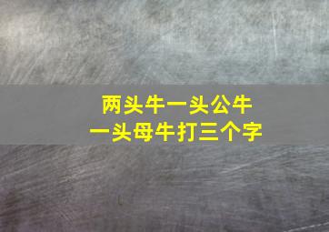 两头牛一头公牛一头母牛打三个字