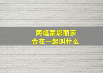 两幅蒙娜丽莎合在一起叫什么