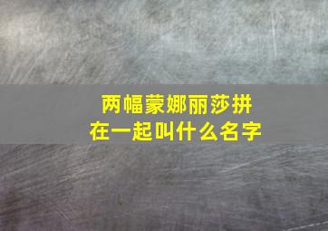 两幅蒙娜丽莎拼在一起叫什么名字