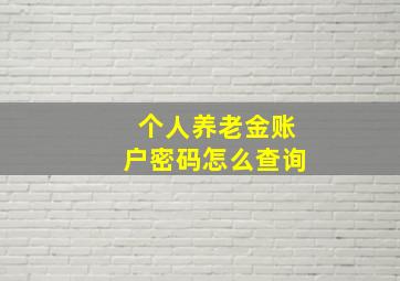 个人养老金账户密码怎么查询