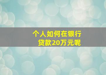 个人如何在银行贷款20万元呢