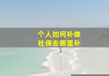 个人如何补缴社保去哪里补