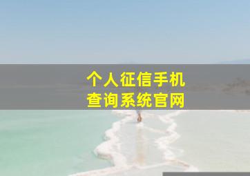 个人征信手机查询系统官网