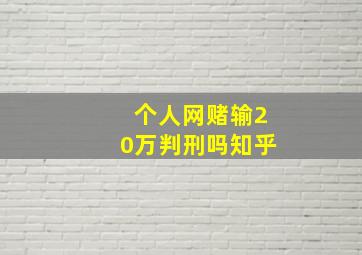 个人网赌输20万判刑吗知乎