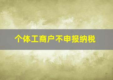 个体工商户不申报纳税