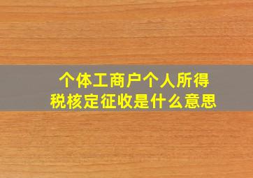 个体工商户个人所得税核定征收是什么意思