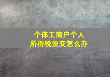 个体工商户个人所得税没交怎么办