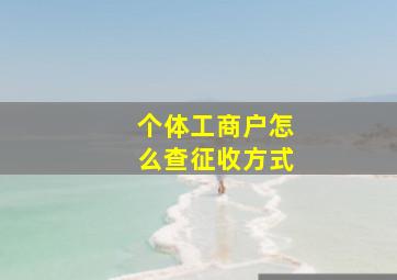 个体工商户怎么查征收方式