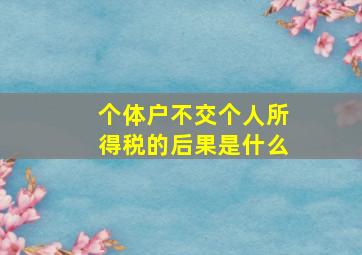 个体户不交个人所得税的后果是什么