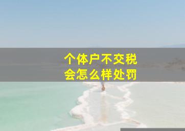 个体户不交税会怎么样处罚