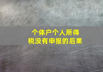 个体户个人所得税没有申报的后果