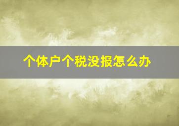 个体户个税没报怎么办