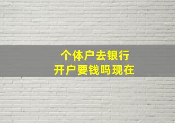 个体户去银行开户要钱吗现在