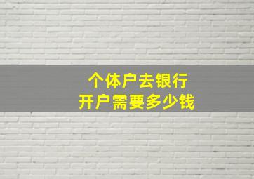 个体户去银行开户需要多少钱