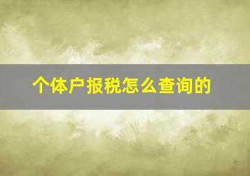 个体户报税怎么查询的