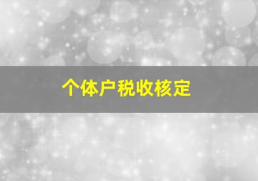 个体户税收核定