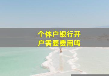 个体户银行开户需要费用吗