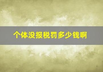 个体没报税罚多少钱啊