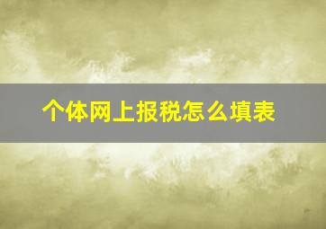 个体网上报税怎么填表