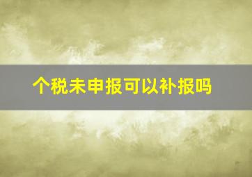 个税未申报可以补报吗