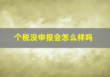 个税没申报会怎么样吗