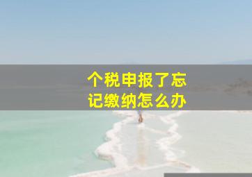 个税申报了忘记缴纳怎么办