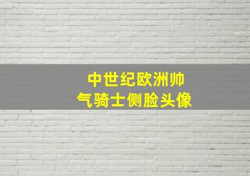 中世纪欧洲帅气骑士侧脸头像