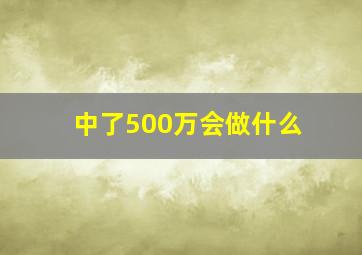 中了500万会做什么