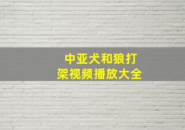 中亚犬和狼打架视频播放大全