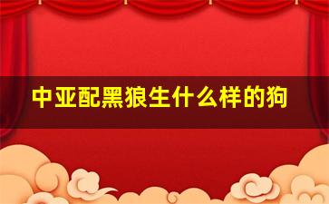 中亚配黑狼生什么样的狗