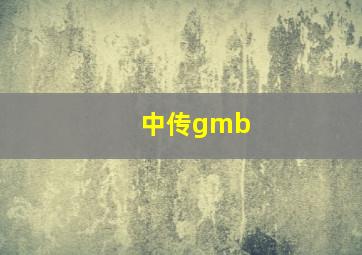 中传gmb