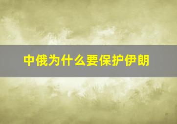 中俄为什么要保护伊朗