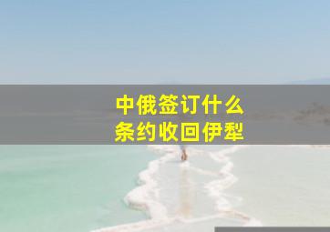 中俄签订什么条约收回伊犁