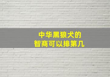 中华黑狼犬的智商可以排第几