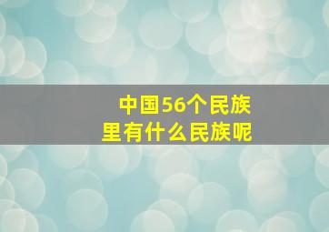 中国56个民族里有什么民族呢