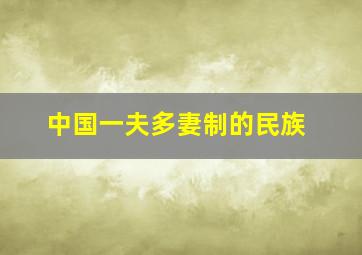 中国一夫多妻制的民族