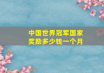 中国世界冠军国家奖励多少钱一个月