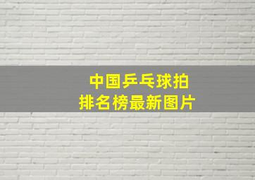 中国乒乓球拍排名榜最新图片