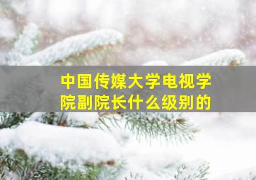 中国传媒大学电视学院副院长什么级别的