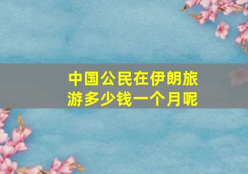 中国公民在伊朗旅游多少钱一个月呢