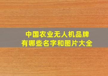 中国农业无人机品牌有哪些名字和图片大全