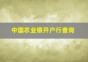 中国农业银开户行查询