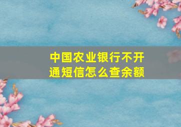 中国农业银行不开通短信怎么查余额